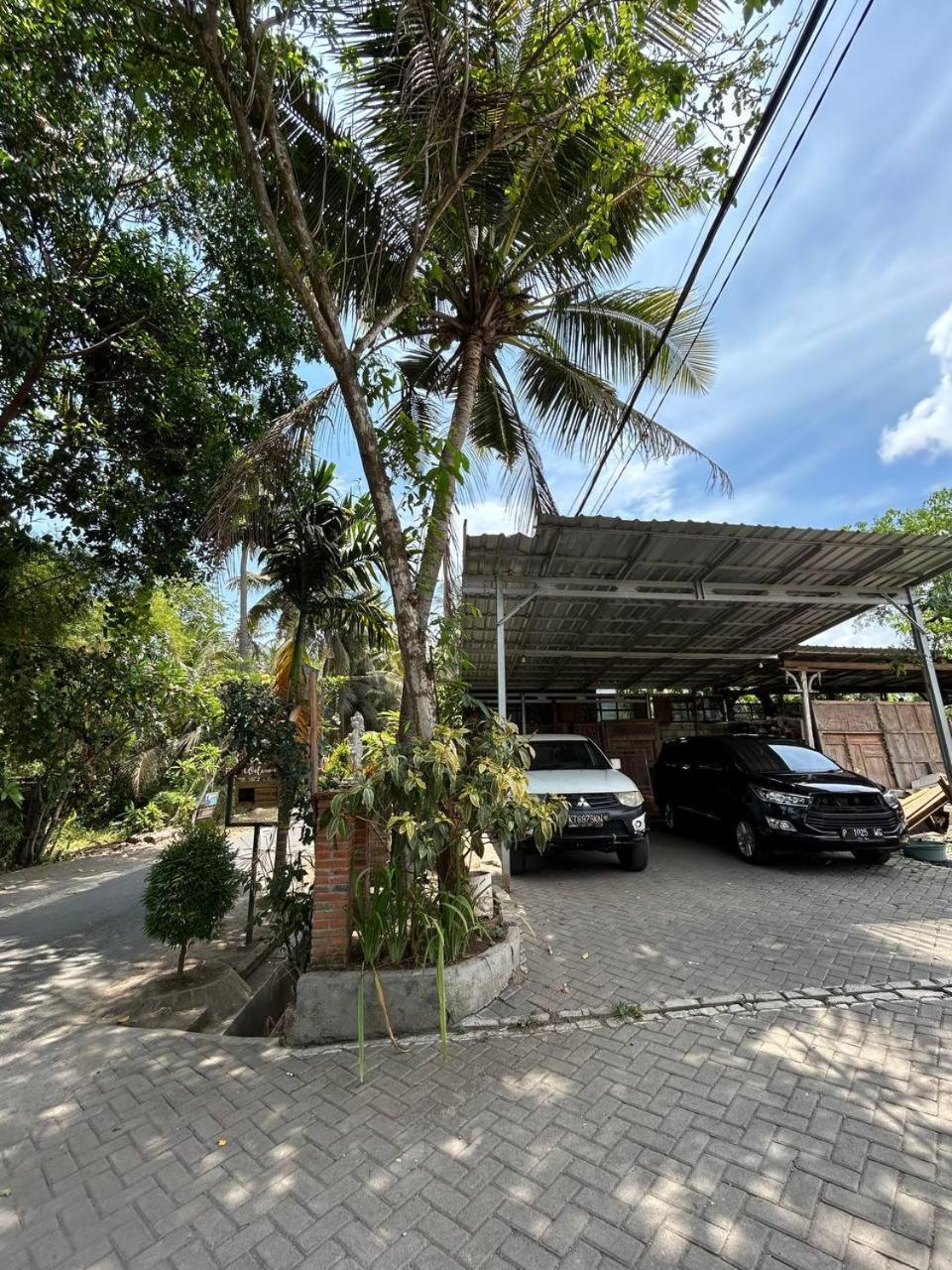 Didu'S Homestay Bed & Breakfast Banyuwangi  Exterior foto