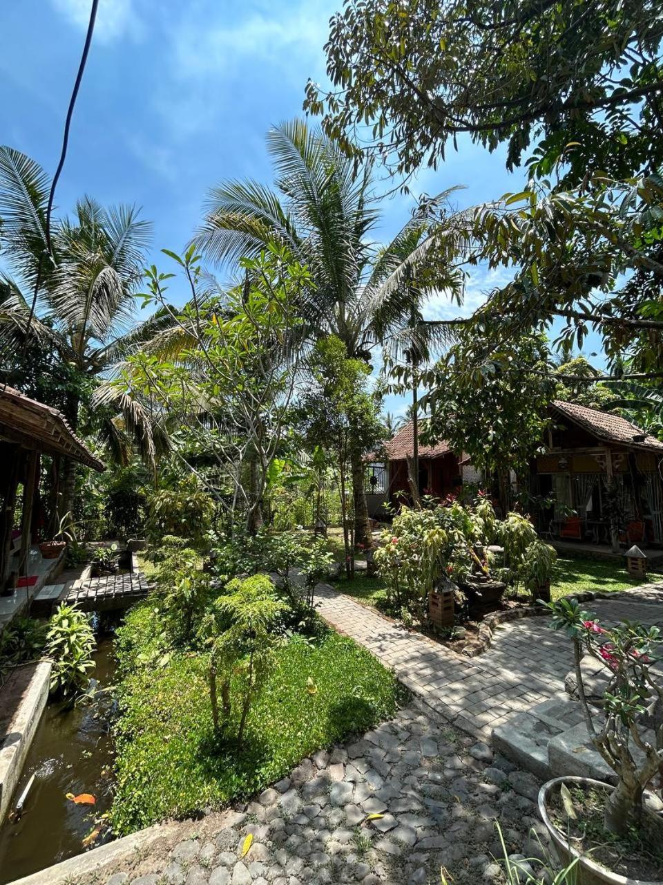 Didu'S Homestay Bed & Breakfast Banyuwangi  Exterior foto