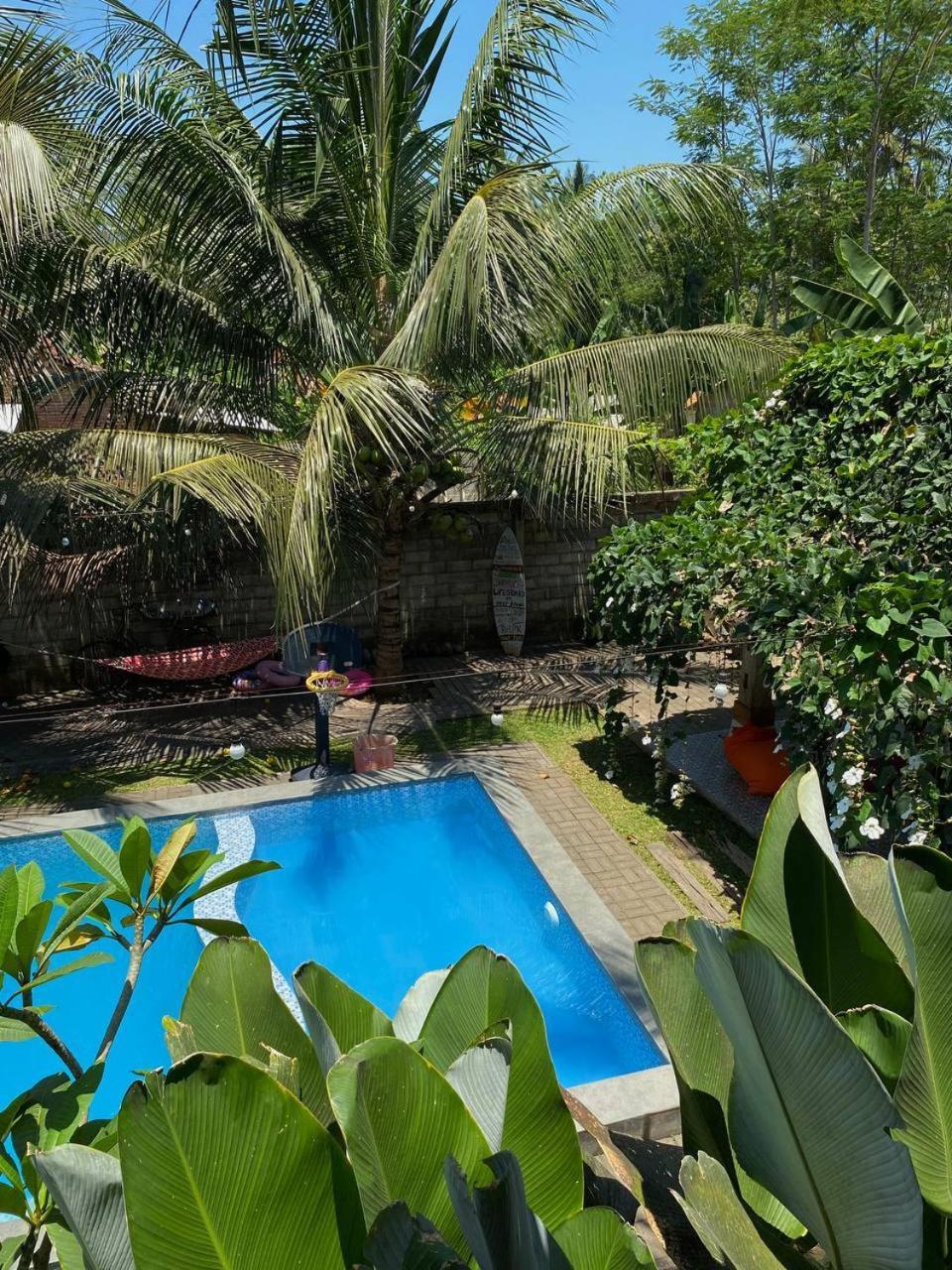 Didu'S Homestay Bed & Breakfast Banyuwangi  Exterior foto