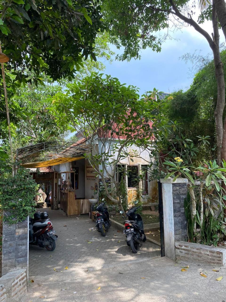 Didu'S Homestay Bed & Breakfast Banyuwangi  Exterior foto